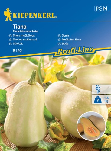 Dynia piżmowa ,,Tiana‘’ F1 - nasiona dyni piżmowej Kiepenkerl