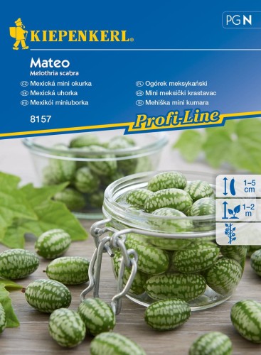 ogorek-meksykanski-nasiona