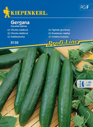 nasiona-ogorek-gruntowy