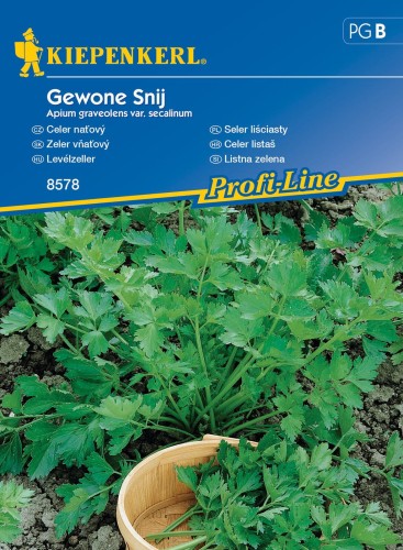 seler-lisciasty-nasiona-kiepenkerl