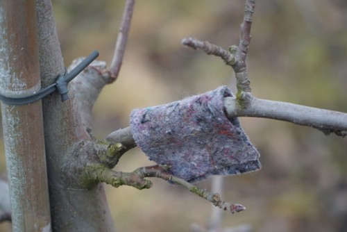 filcowe-opaski-dobroczynek