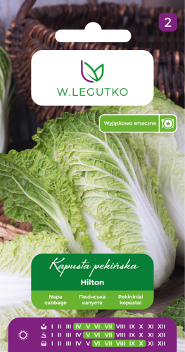 Kapusta pekińska "Hilton" 0,5 g - nasiona W. Legutko