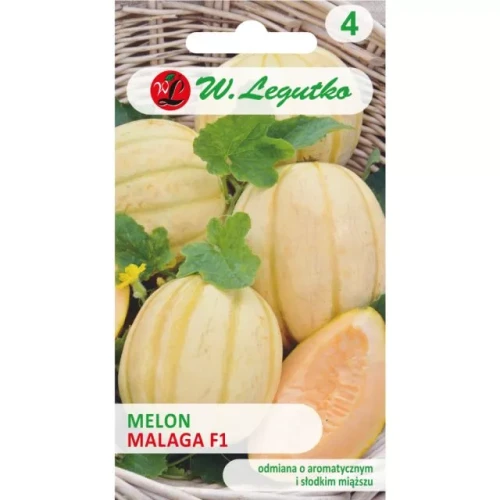 Melon "Malaga" F1 0,5 g - nasiona W.  Legutko