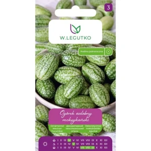 Ogórek ozdobny meksykański 0,05 g - nasiona W. Legutko