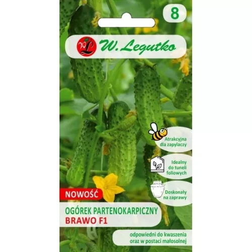 Ogórek "Brawo" F1 2 g - nasiona W. Legutko