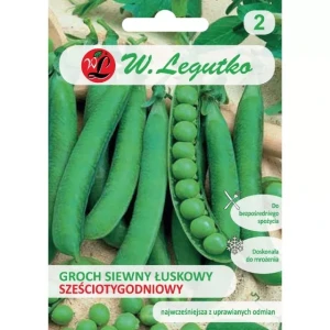 Zielony groszek sześciotygodniowy - nasiona W. Legutko  40 g
