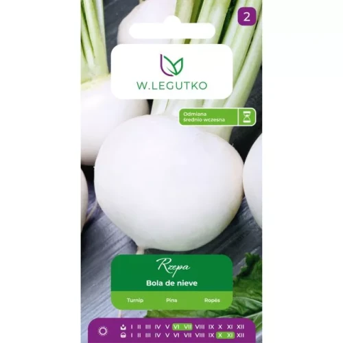 nasiona-bialej-rzepy