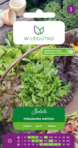 nasiona-salaty-legutko