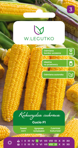 kukurydza-cukrowa