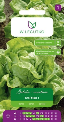 Sałata masłowa "Królowa majowych" 1 g - nasiona W. Legutko