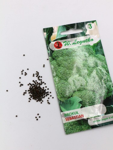 brokuł (4).jpg
