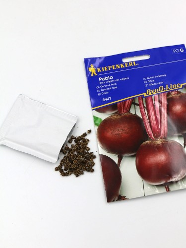 burak ćwikłowy (3).jpg