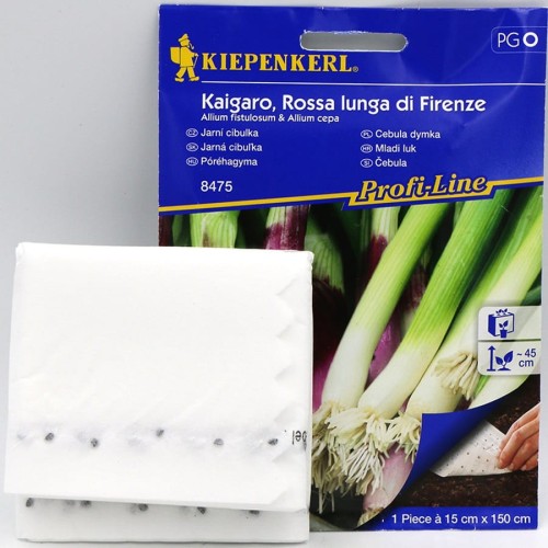 cebula dymka (4).jpg