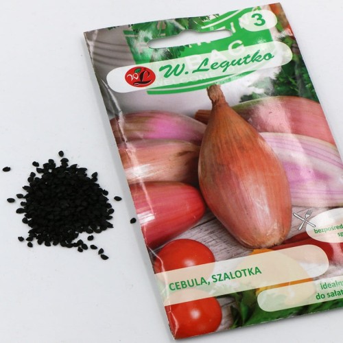 cebula szalotka (4).jpg