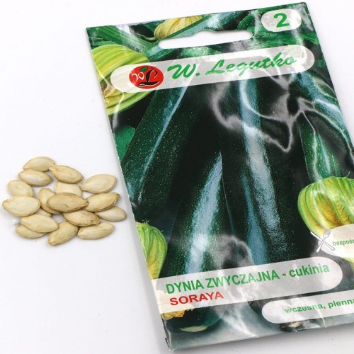 dynia zwyczajna - cukinia.jpg