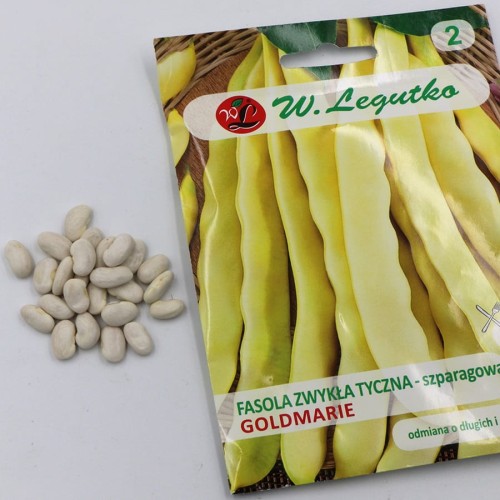 fasola zwykła tyczna (3).jpg