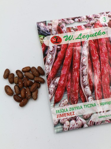 fasola zwykła tyczna szparagowa (3).jpg