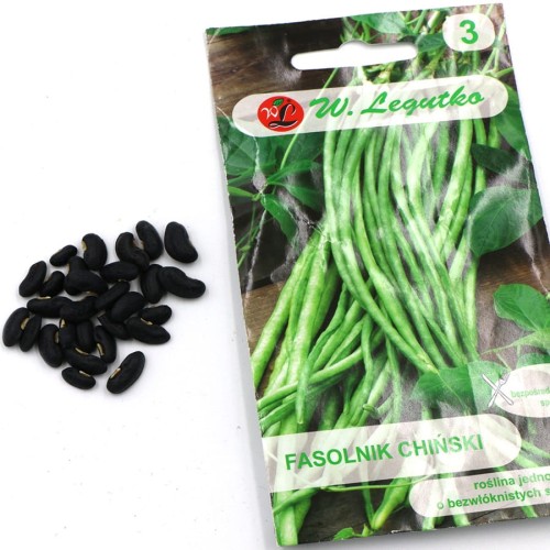 fasolnik chiński (3).jpg