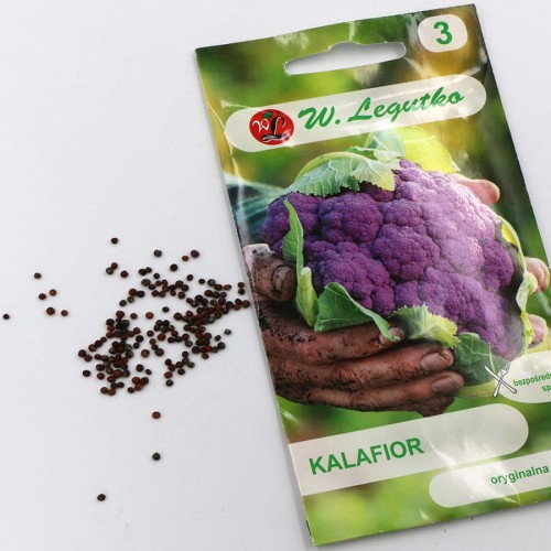 kalafior (4).jpg