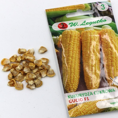 kukurydza cukrowa (4).jpg