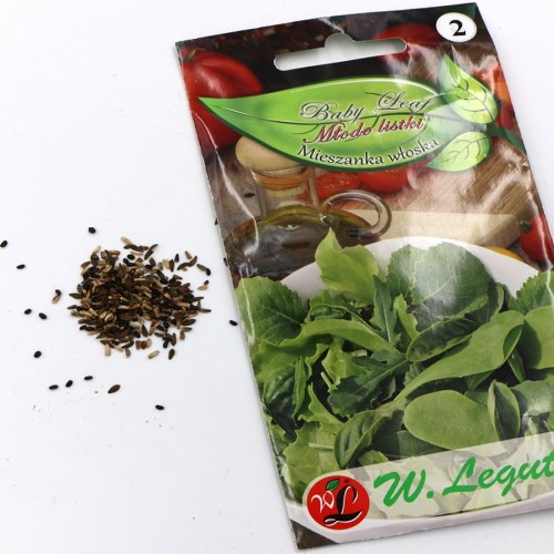 młode listki mieszanka włoska (4).jpg