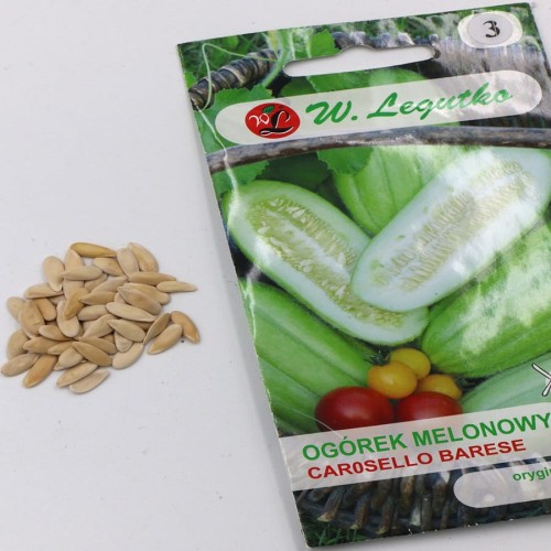 ogórek melonowy (4).jpg