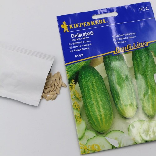 ogórek sałatkowy (3).jpg