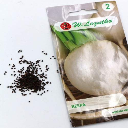 rzepa (3).jpg