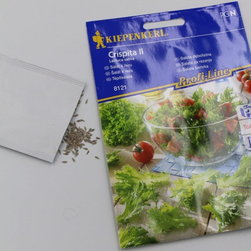 sałata dębolistna (3).jpg