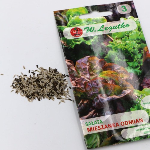 sałata mieszanka odmian (4).jpg