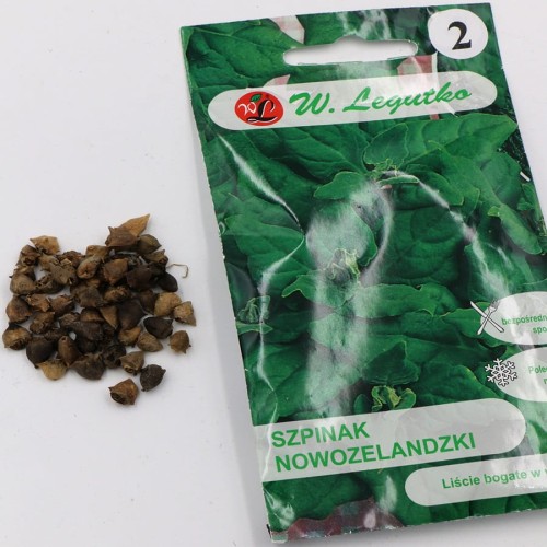 szpinak nowozelandzki (4).jpg