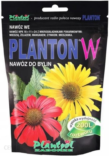 planton-w