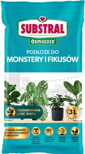 podloze-do-monster-fikusow-palm